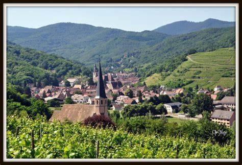 Andlau-au-Val La Rocatelle 아파트 외부 사진